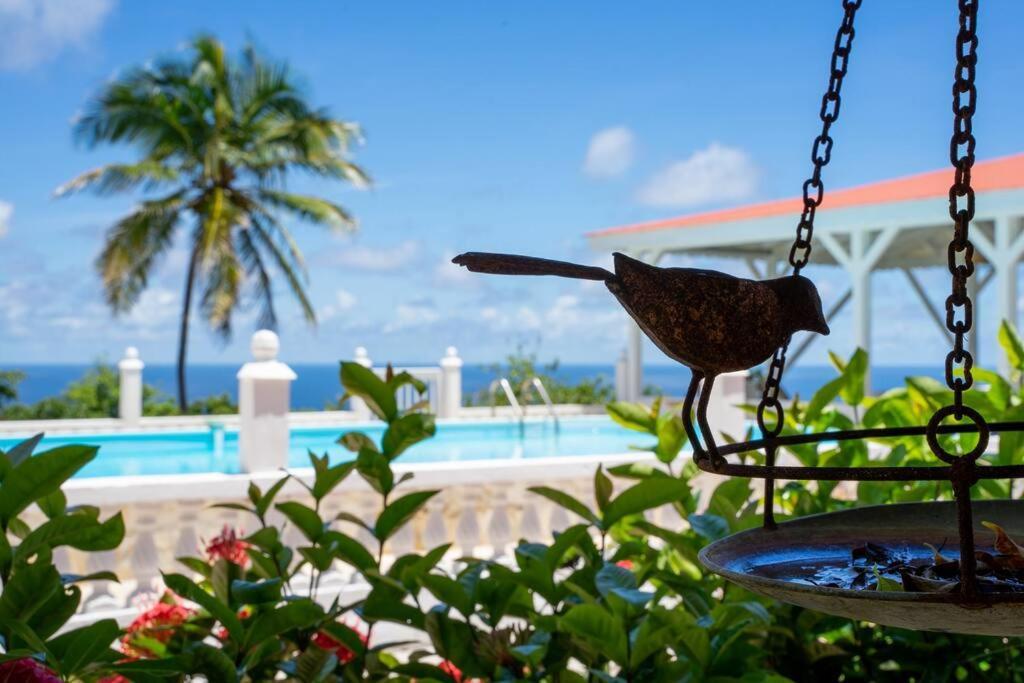 Вилла Domaine Des Tourterelles Capesterre Экстерьер фото