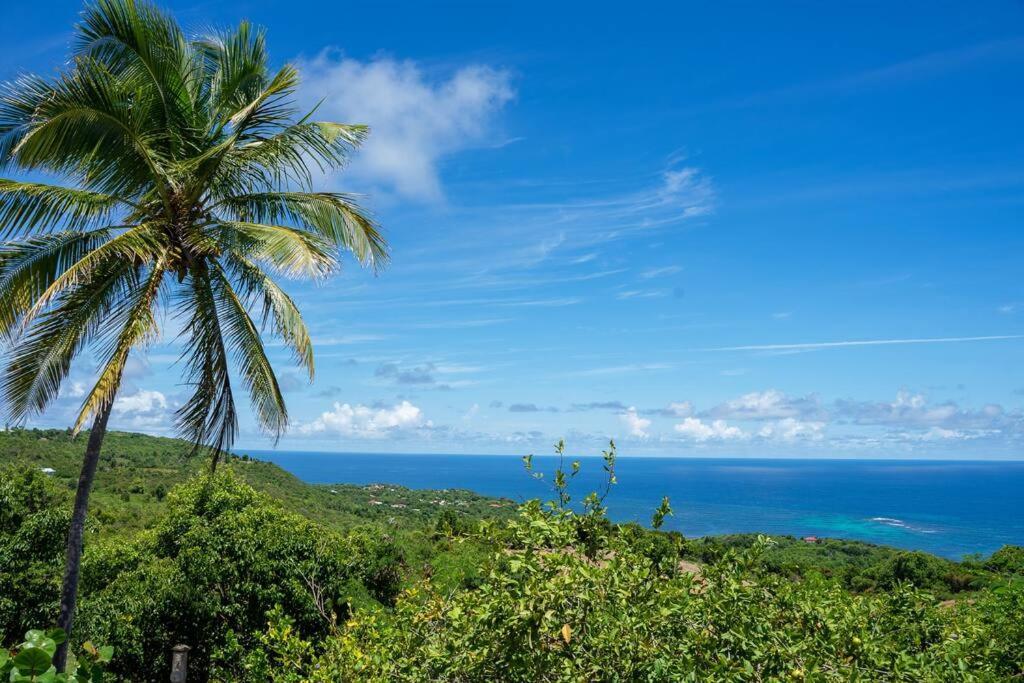 Вилла Domaine Des Tourterelles Capesterre Экстерьер фото