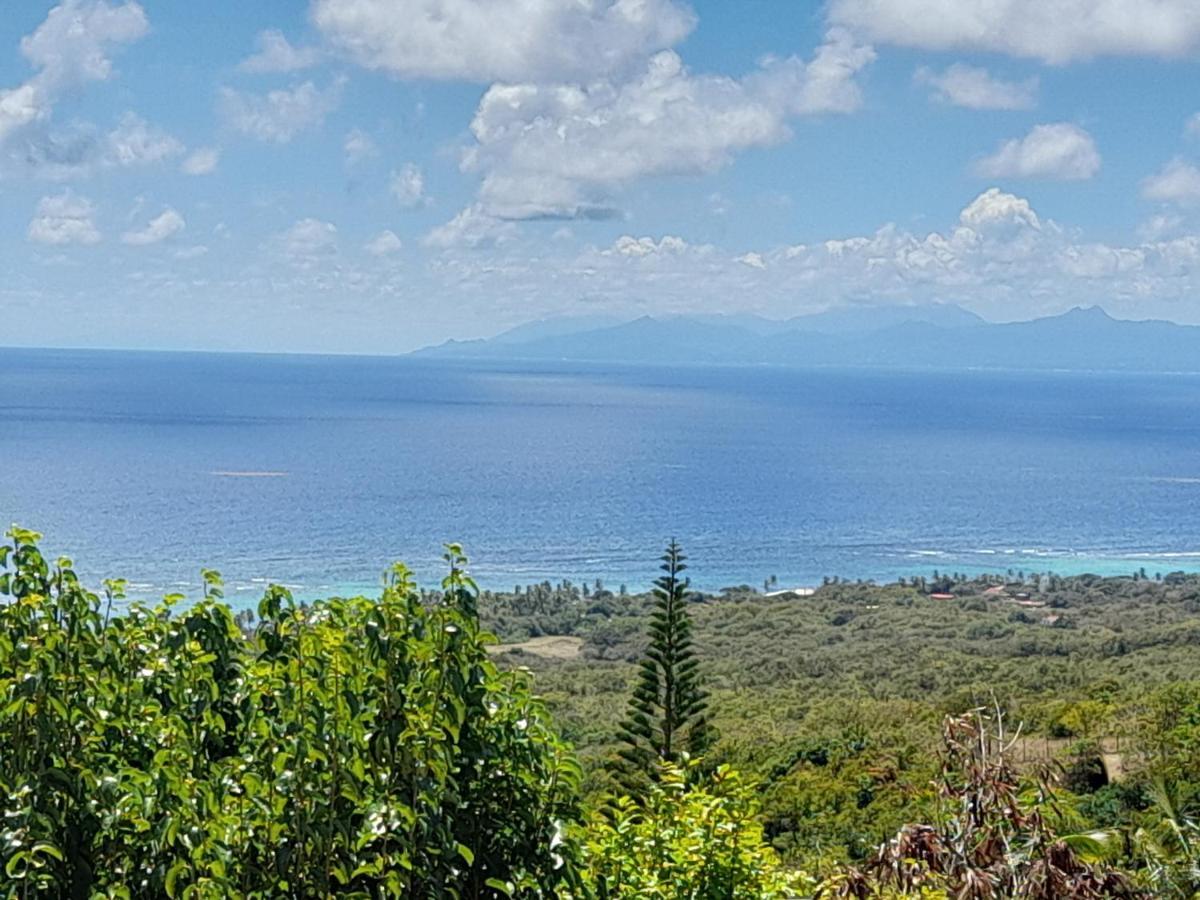 Вилла Domaine Des Tourterelles Capesterre Экстерьер фото